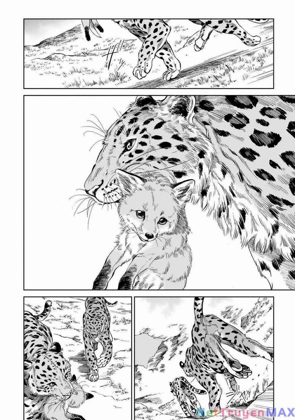 Hổ Vẫn Chưa Muốn Xơi Rồng 9 trang 2