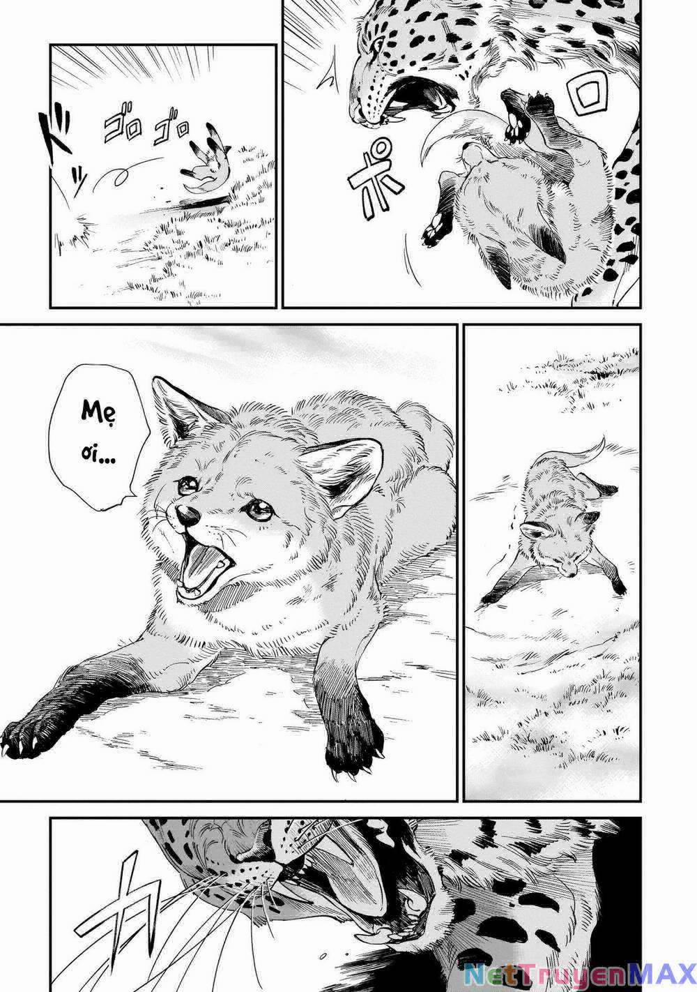 Hổ Vẫn Chưa Muốn Xơi Rồng 9 trang 3