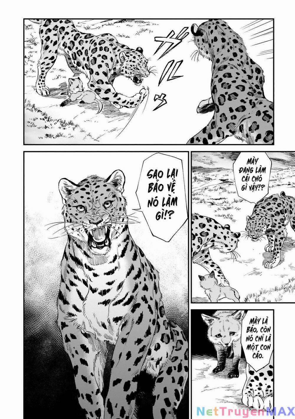 Hổ Vẫn Chưa Muốn Xơi Rồng 9 trang 4