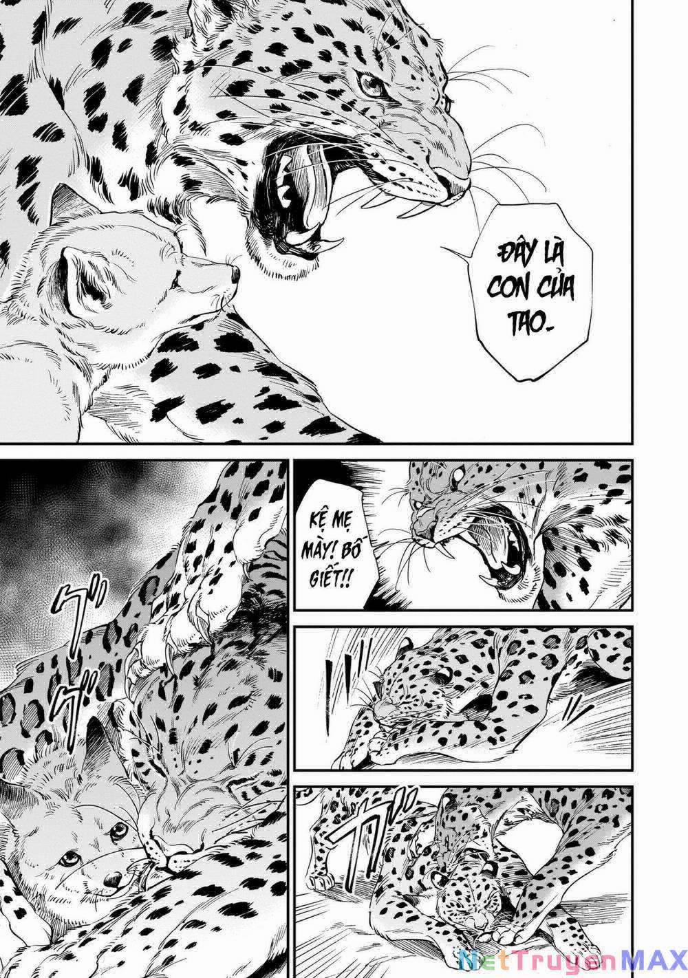 Hổ Vẫn Chưa Muốn Xơi Rồng 9 trang 5