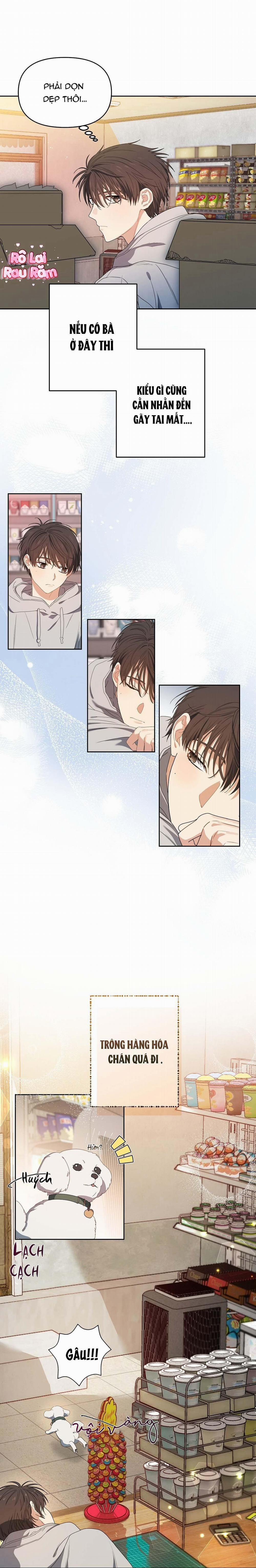 Hoa Anh Đ Ào    1 trang 8