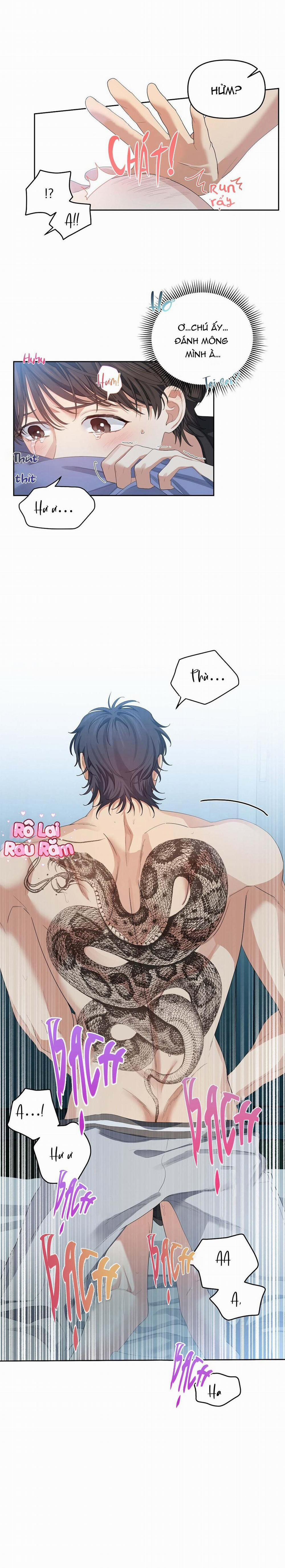 Hoa Anh Đ Ào    10 trang 11