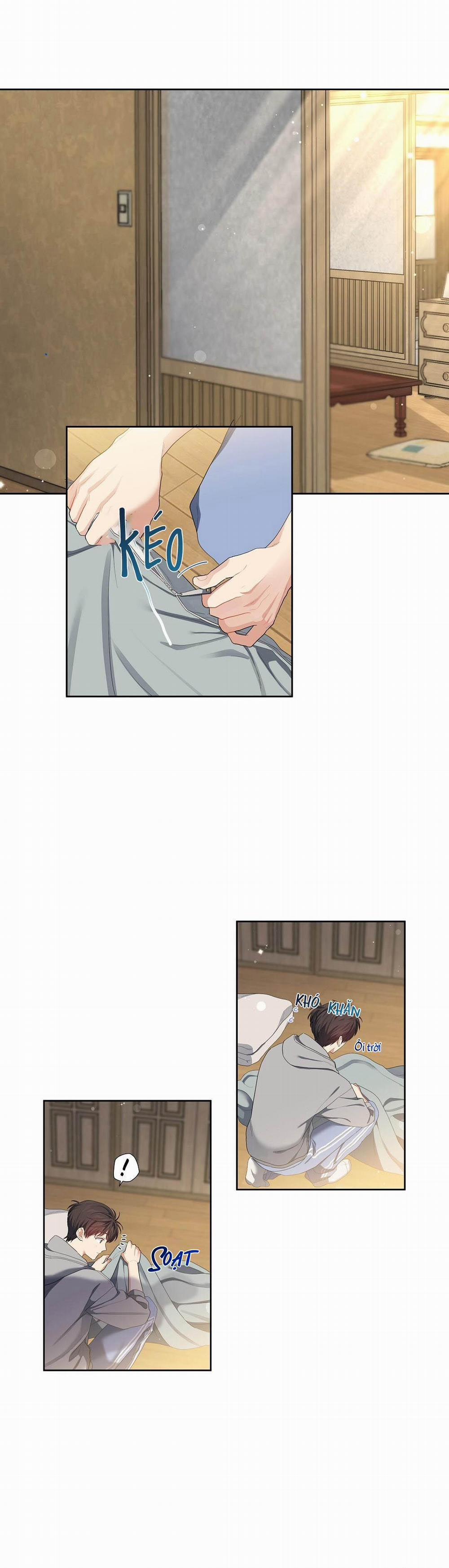 Hoa Anh Đ Ào    12 trang 0