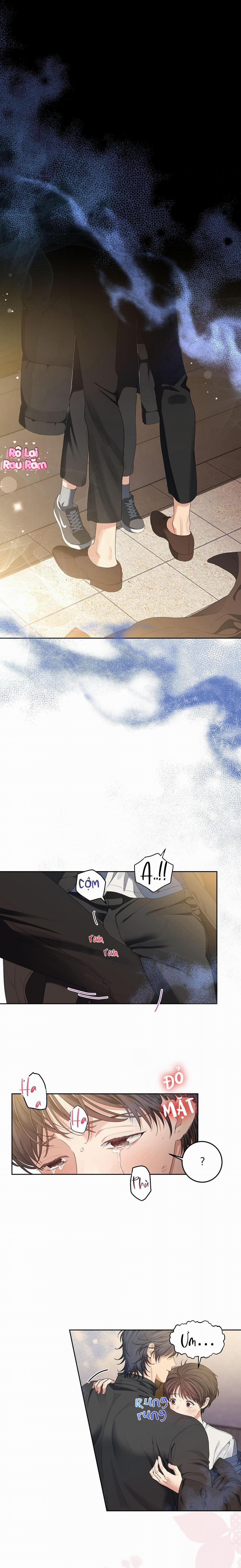 Hoa Anh Đ Ào    19 H++ trang 0