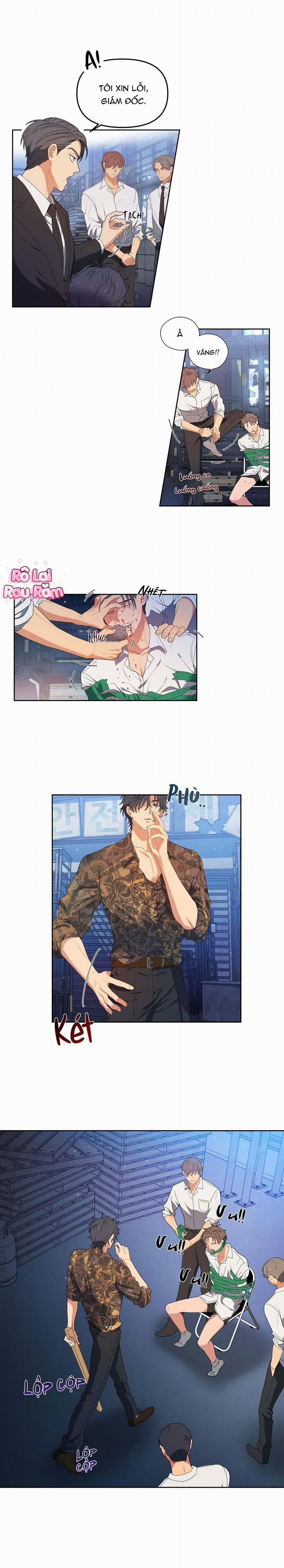 Hoa Anh Đ Ào    2 trang 13