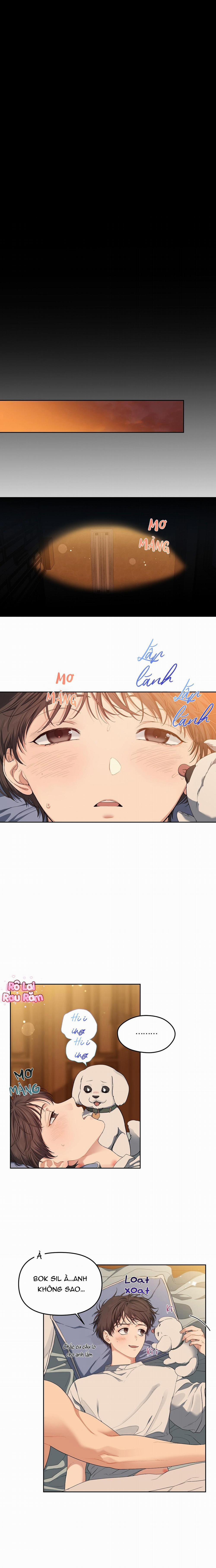 Hoa Anh Đ Ào    21 trang 0