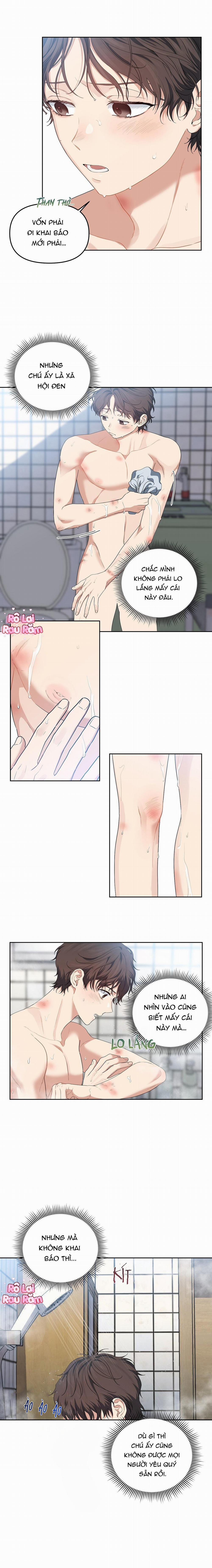 Hoa Anh Đ Ào    21 trang 7