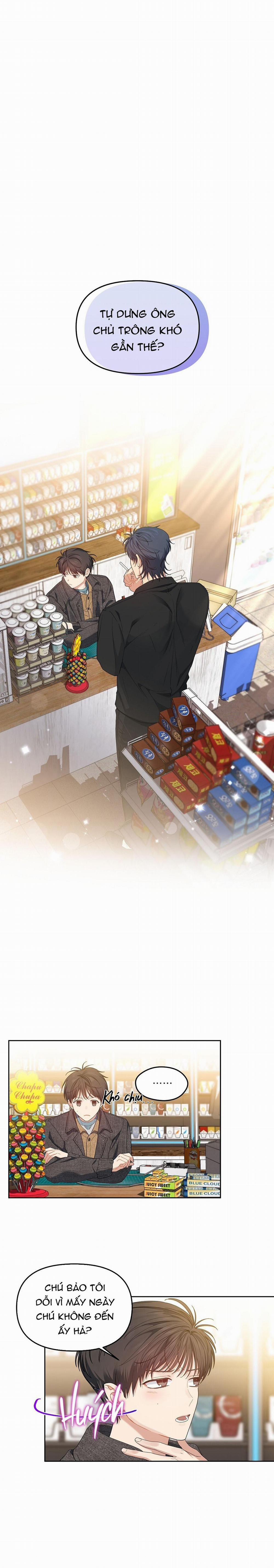 Hoa Anh Đ Ào    24 trang 0