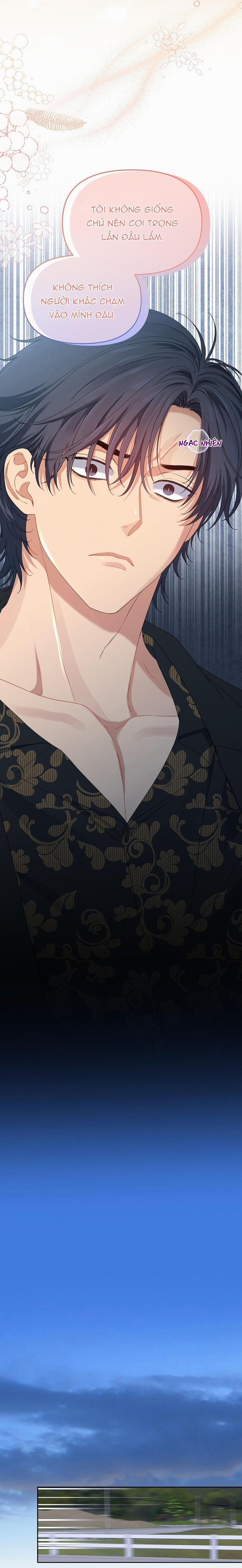 Hoa Anh Đ Ào    24 trang 13