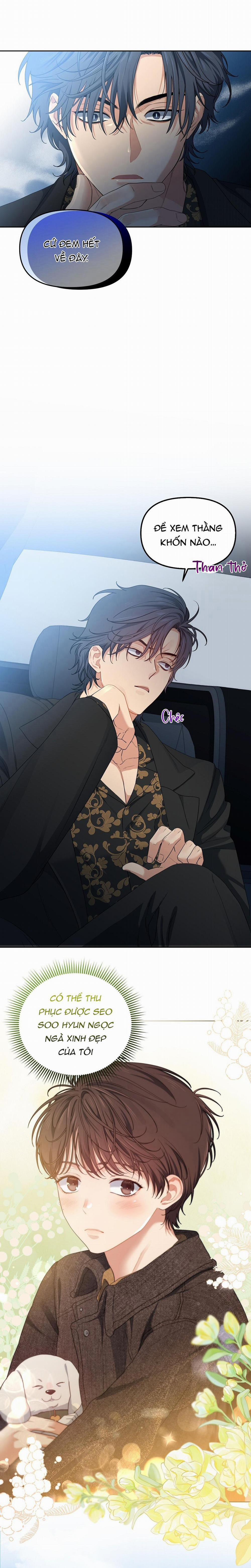 Hoa Anh Đ Ào    24 trang 16