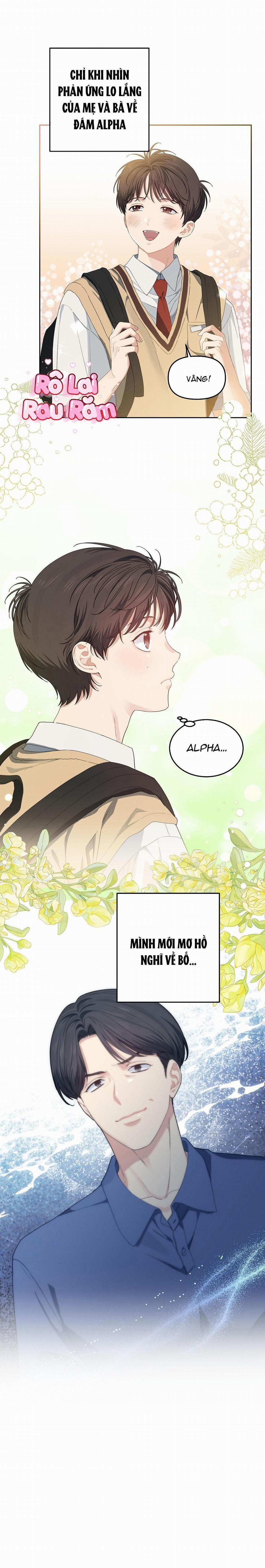 Hoa Anh Đ Ào    25 trang 18