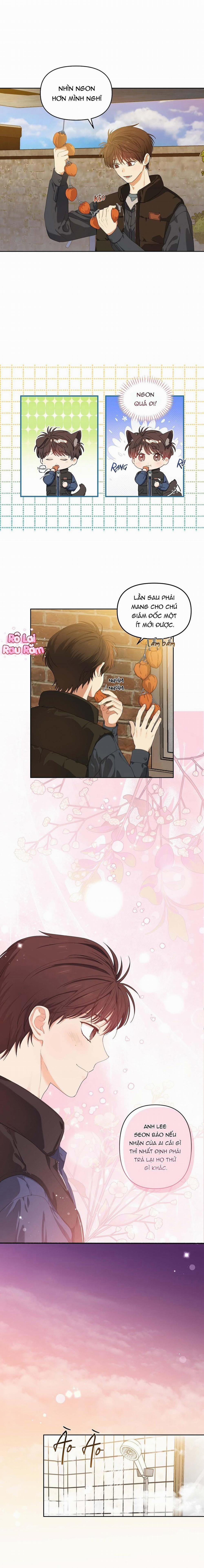 Hoa Anh Đ Ào    6 trang 1