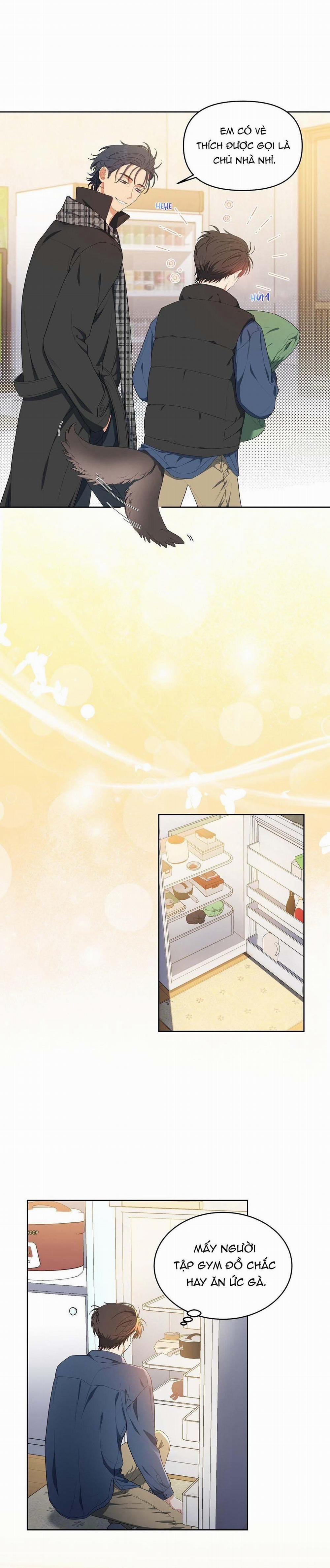 Hoa Anh Đ Ào    7 trang 1