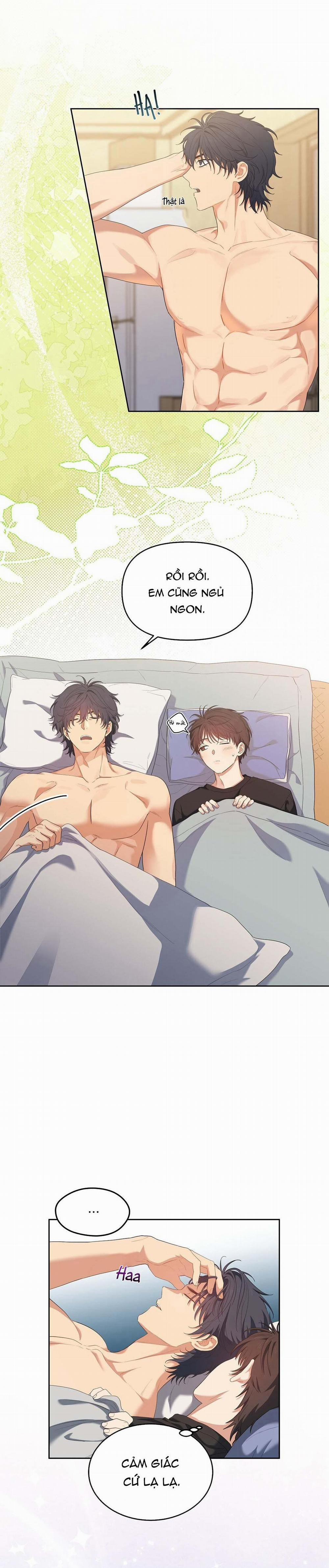 Hoa Anh Đ Ào    8 trang 19