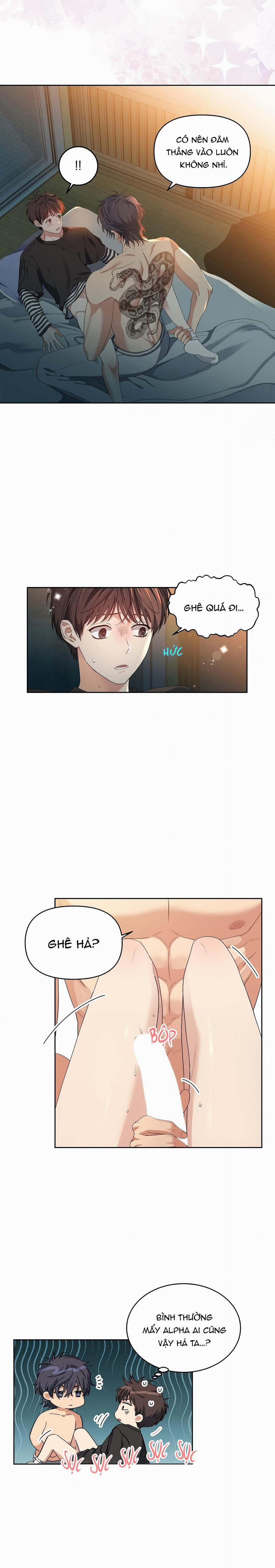 Hoa Anh Đ Ào    9 trang 16