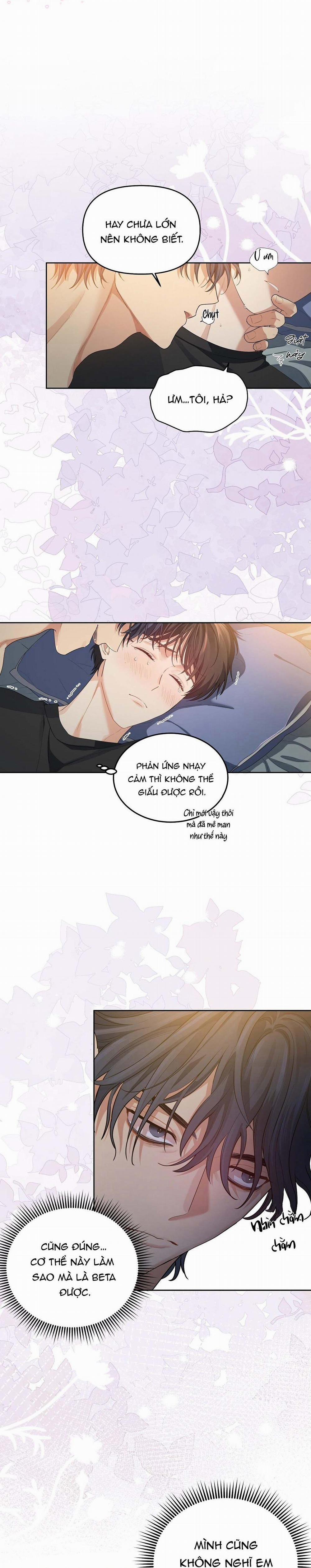 Hoa Anh Đ Ào    9 trang 6