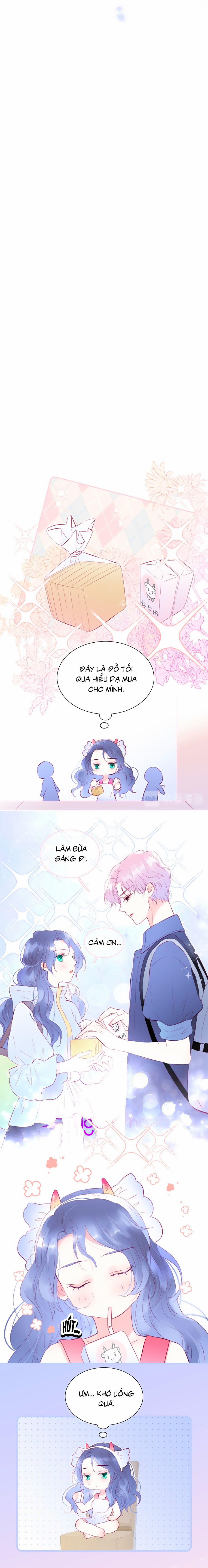 Hoa Bỏ Chạy Với Nhím Rồi 13 trang 1