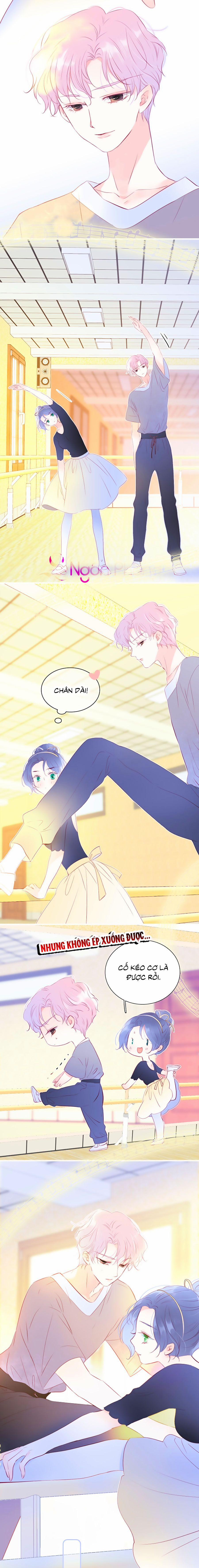 Hoa Bỏ Chạy Với Nhím Rồi 16 trang 4