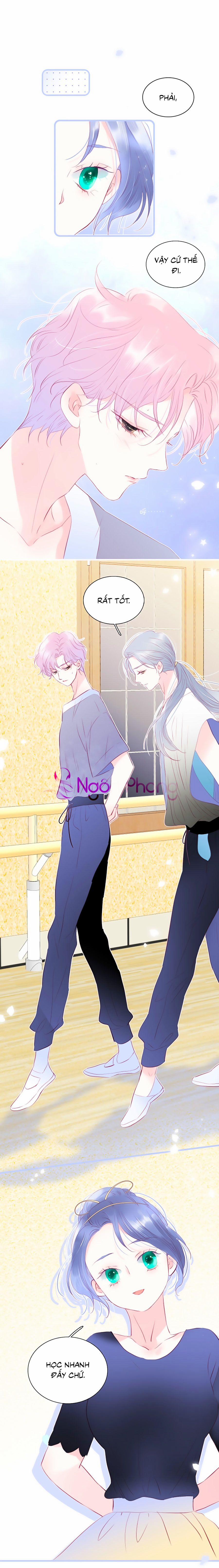 Hoa Bỏ Chạy Với Nhím Rồi 17 trang 0