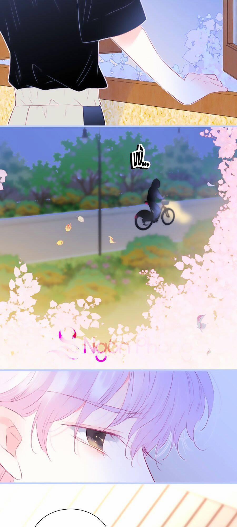 Hoa Bỏ Chạy Với Nhím Rồi 19 trang 31