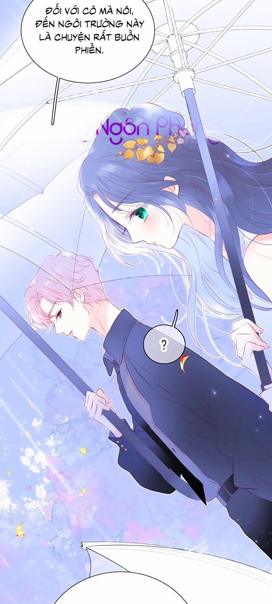 Hoa Bỏ Chạy Với Nhím Rồi 23 trang 37