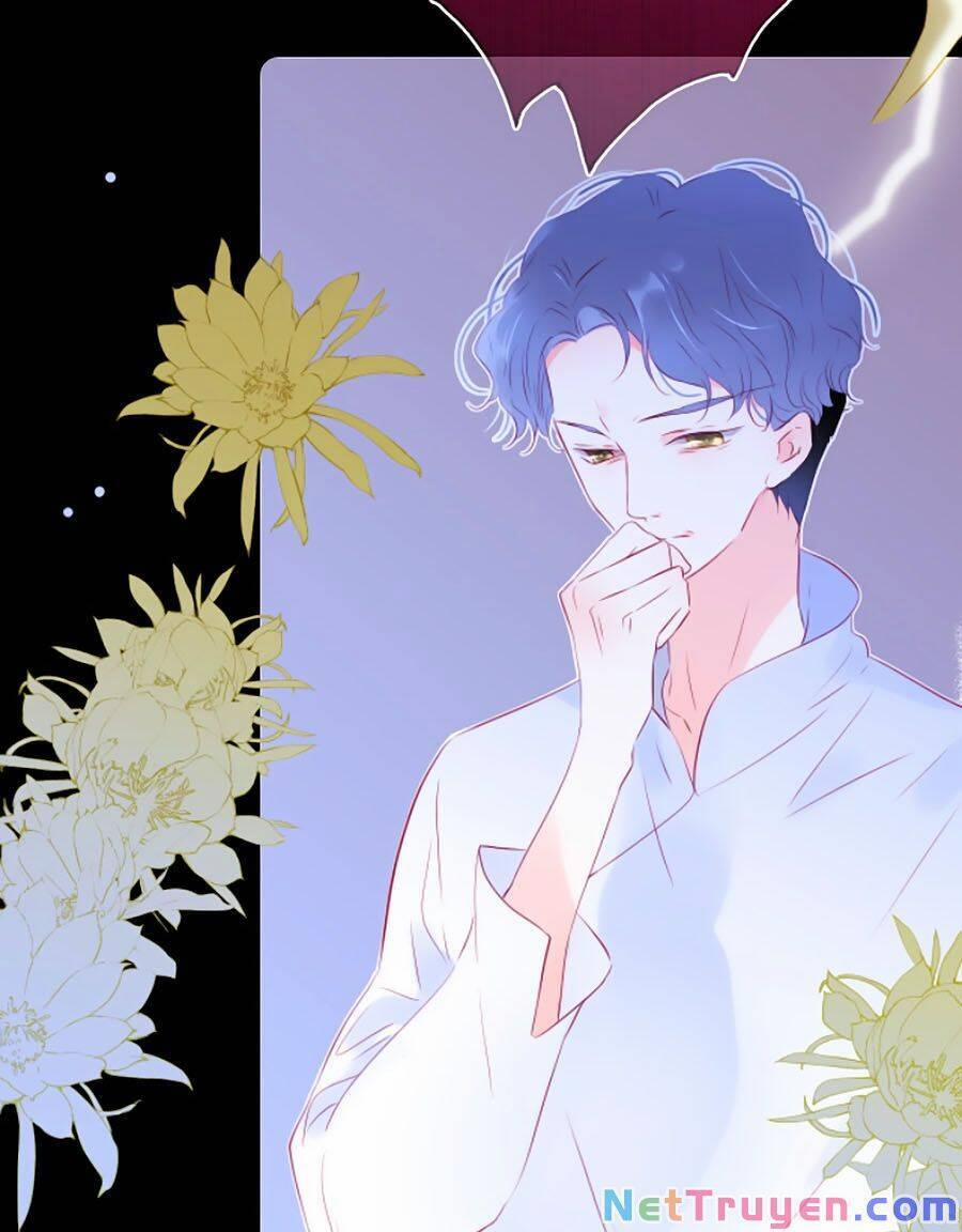 Hoa Bỏ Chạy Với Nhím Rồi 24 trang 12