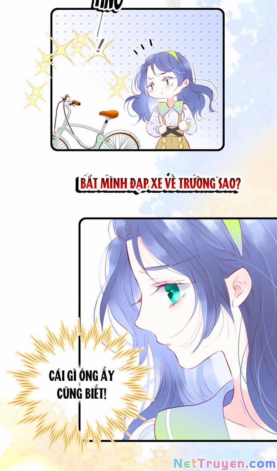 Hoa Bỏ Chạy Với Nhím Rồi 24 trang 16