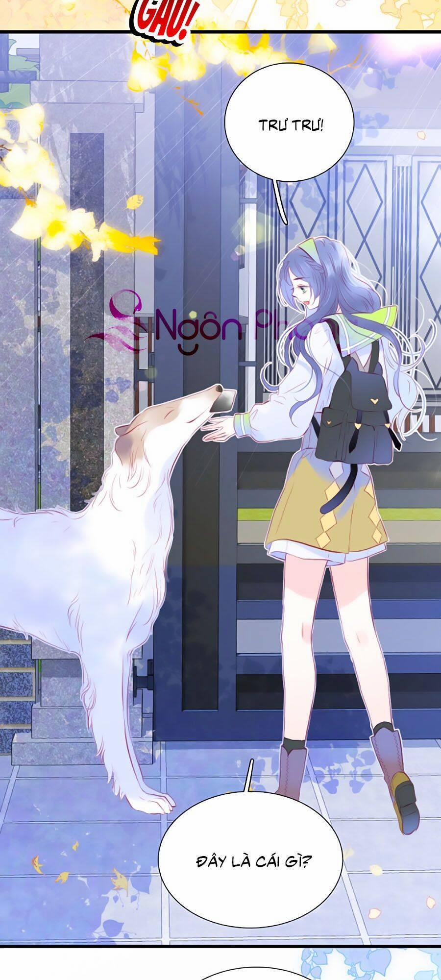 Hoa Bỏ Chạy Với Nhím Rồi 24 trang 4