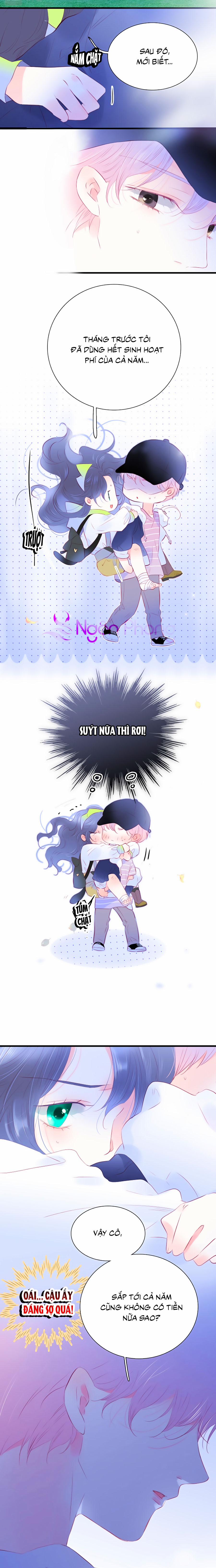 Hoa Bỏ Chạy Với Nhím Rồi 28 trang 4