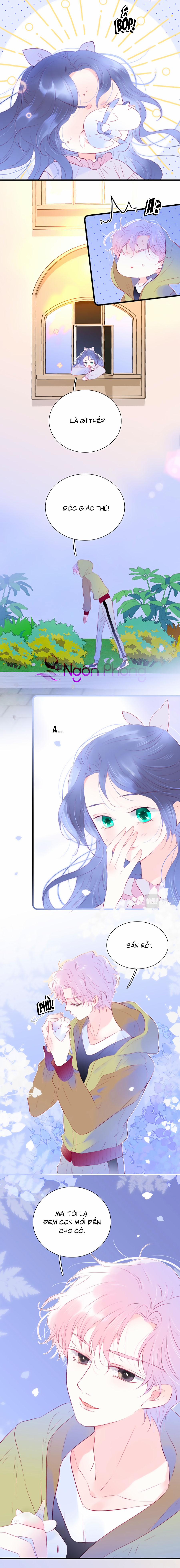 Hoa Bỏ Chạy Với Nhím Rồi 29 trang 8