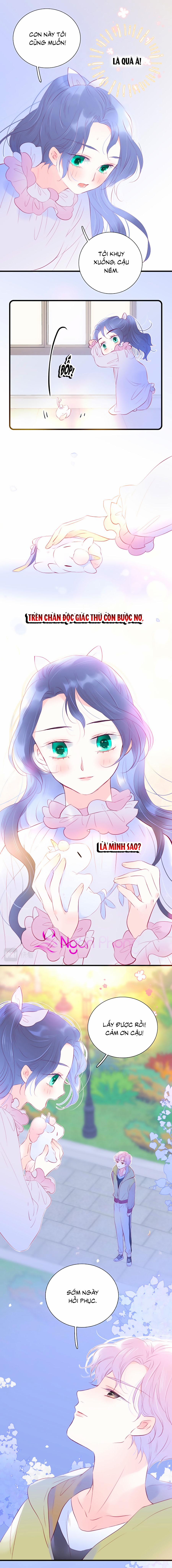 Hoa Bỏ Chạy Với Nhím Rồi 29 trang 9