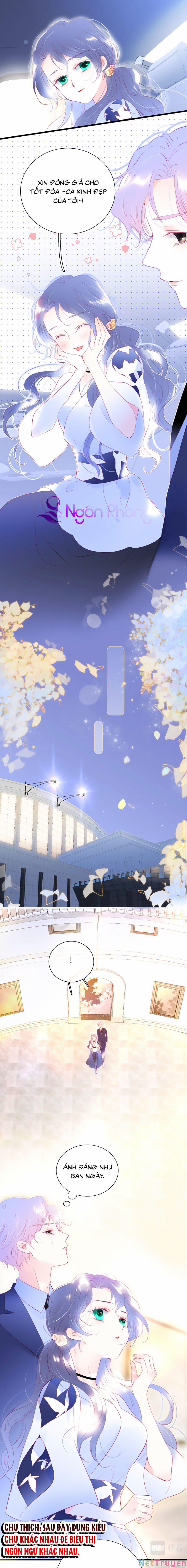 Hoa Bỏ Chạy Với Nhím Rồi 36 trang 5