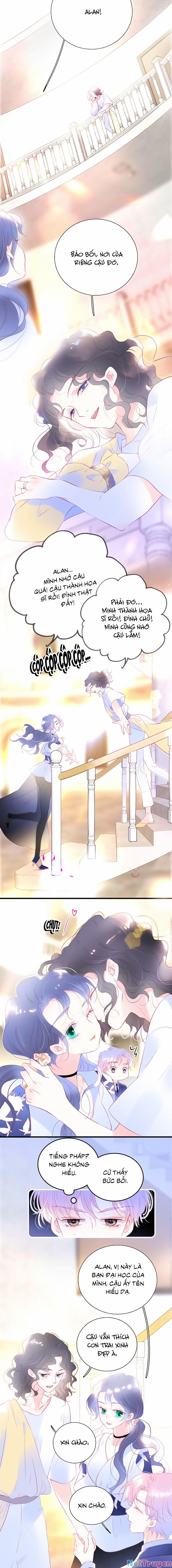 Hoa Bỏ Chạy Với Nhím Rồi 36 trang 6