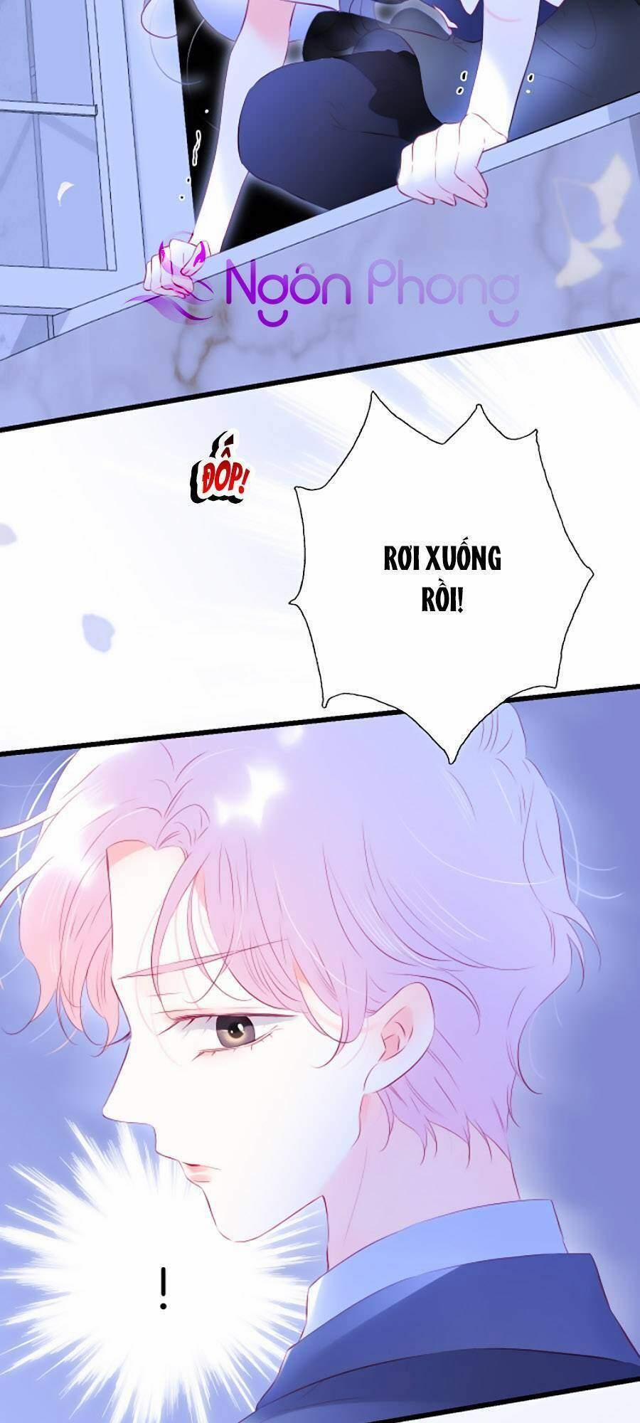 Hoa Bỏ Chạy Với Nhím Rồi 39 trang 1