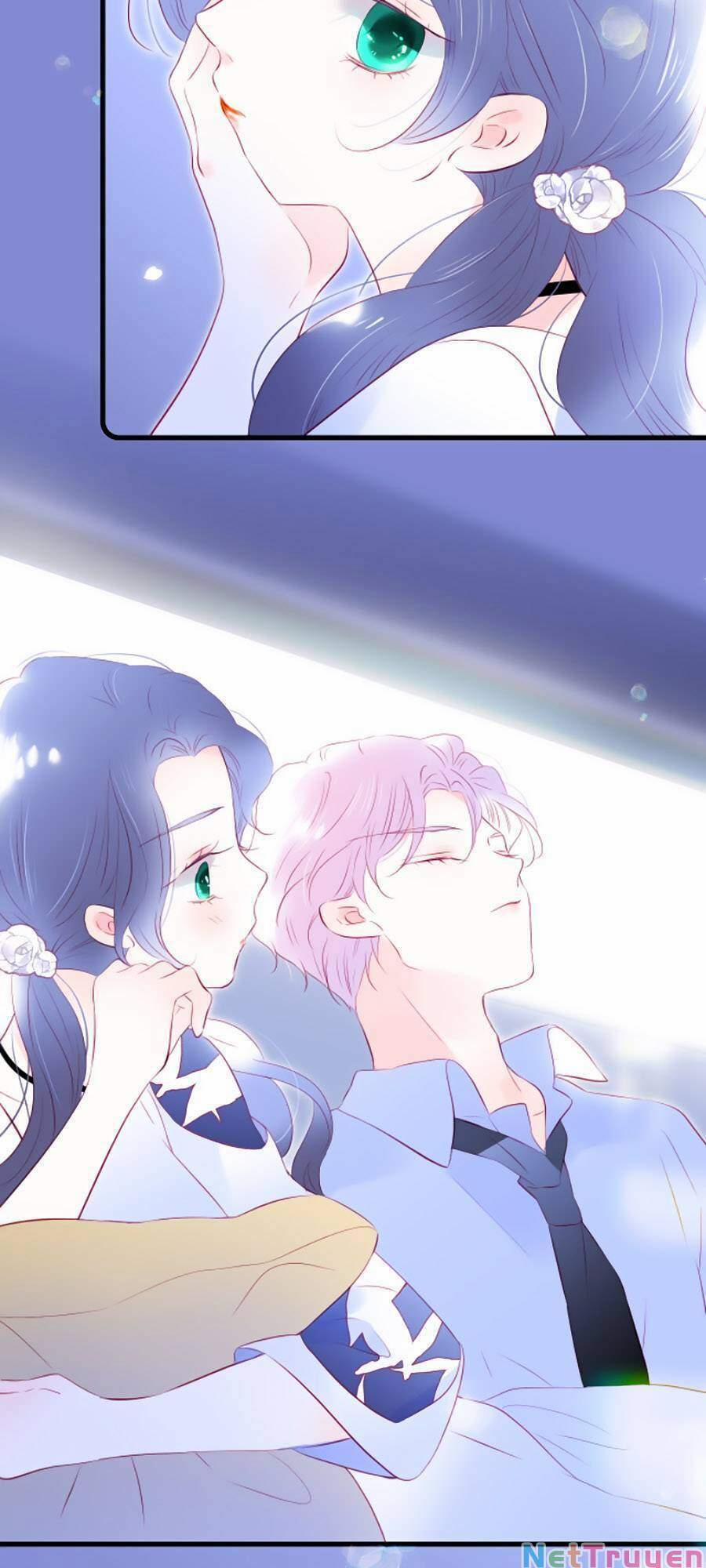 Hoa Bỏ Chạy Với Nhím Rồi 40 trang 21