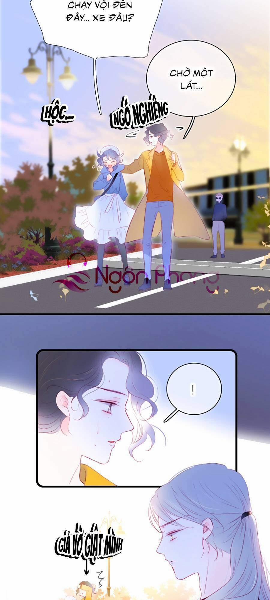 Hoa Bỏ Chạy Với Nhím Rồi 41 trang 12