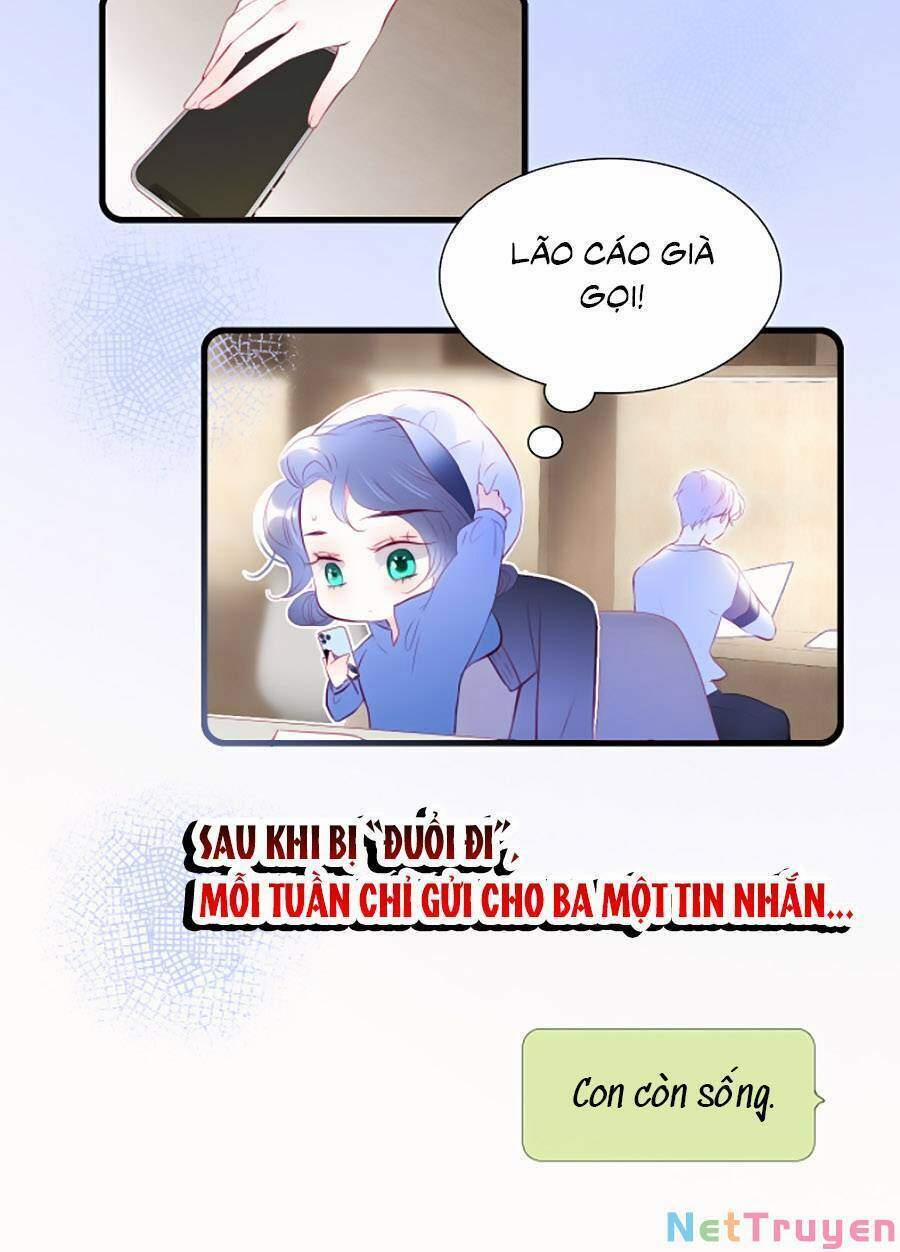 Hoa Bỏ Chạy Với Nhím Rồi 42 trang 10