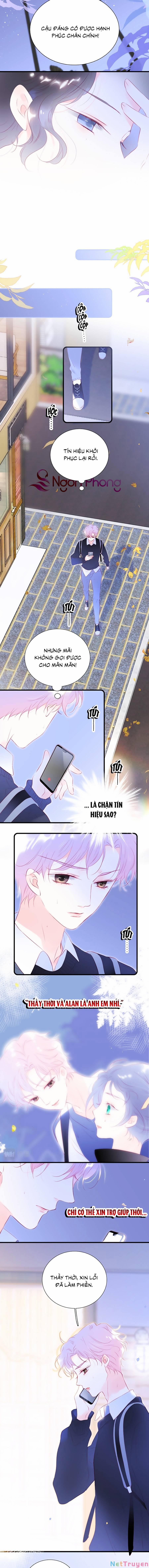 Hoa Bỏ Chạy Với Nhím Rồi 48 trang 8