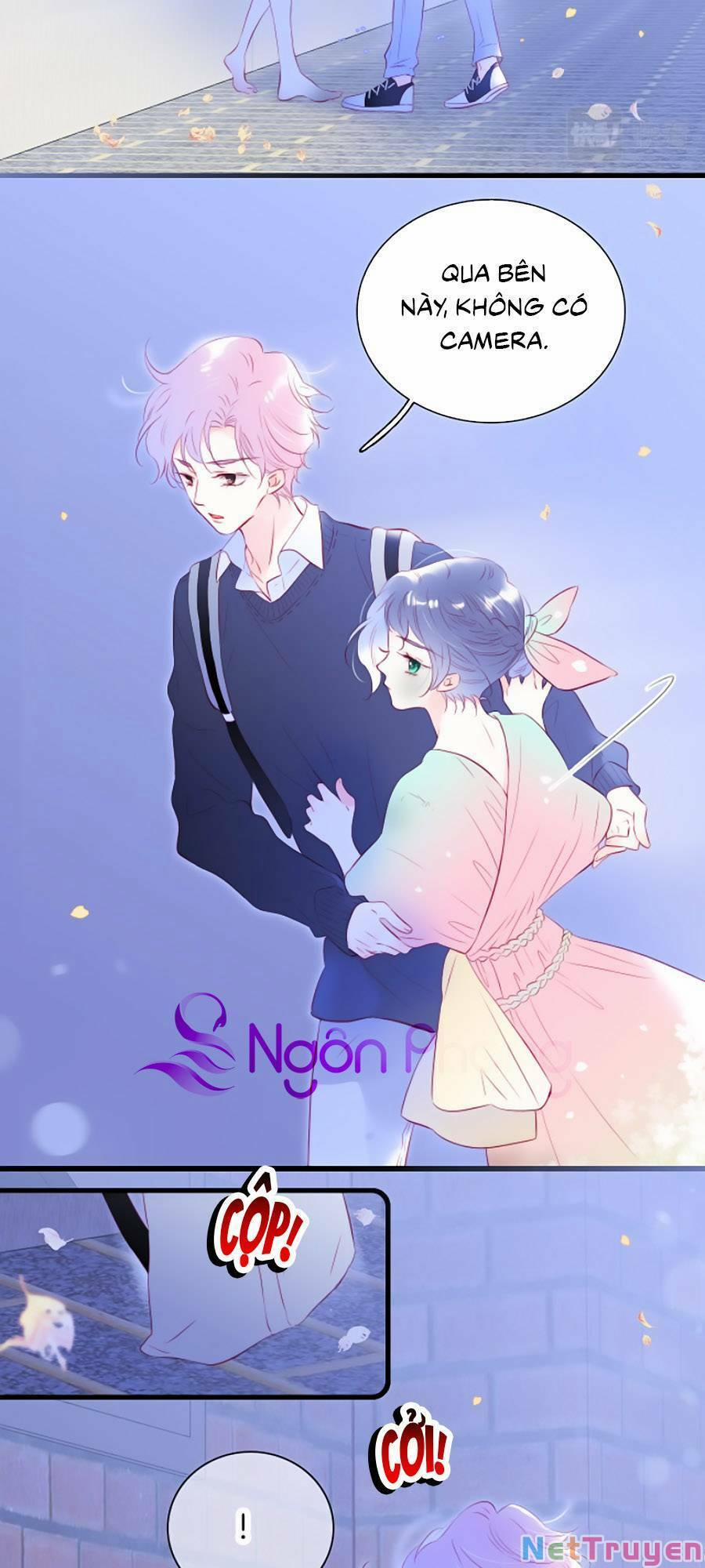 Hoa Bỏ Chạy Với Nhím Rồi 50 trang 1