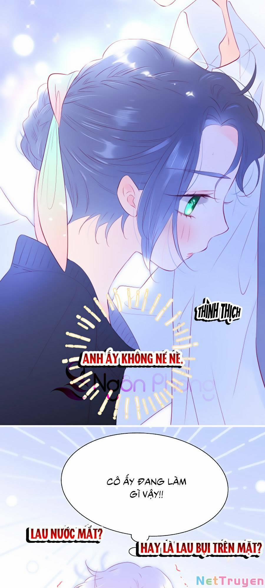 Hoa Bỏ Chạy Với Nhím Rồi 50 trang 24