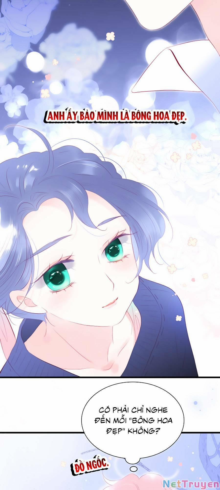 Hoa Bỏ Chạy Với Nhím Rồi 50 trang 36