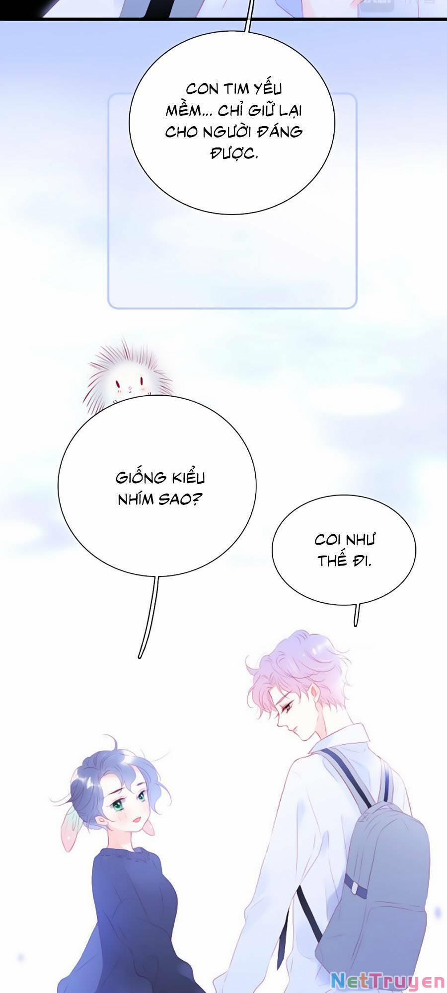 Hoa Bỏ Chạy Với Nhím Rồi 50 trang 39