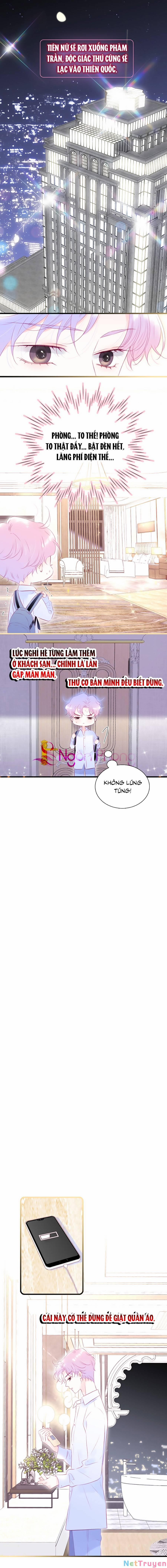 Hoa Bỏ Chạy Với Nhím Rồi 52 trang 0