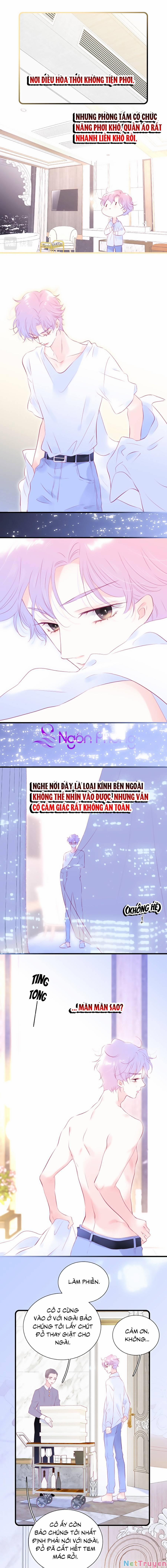 Hoa Bỏ Chạy Với Nhím Rồi 52 trang 1