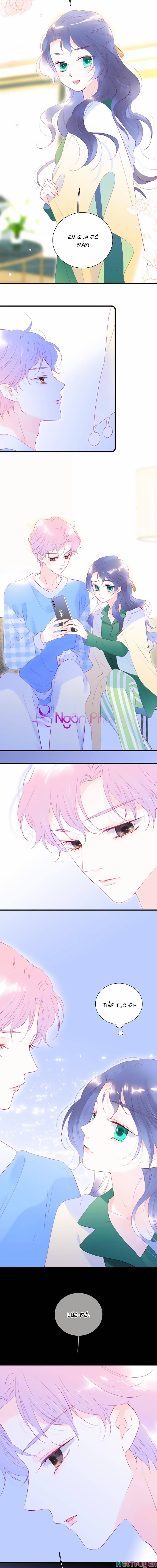 Hoa Bỏ Chạy Với Nhím Rồi 53 trang 7