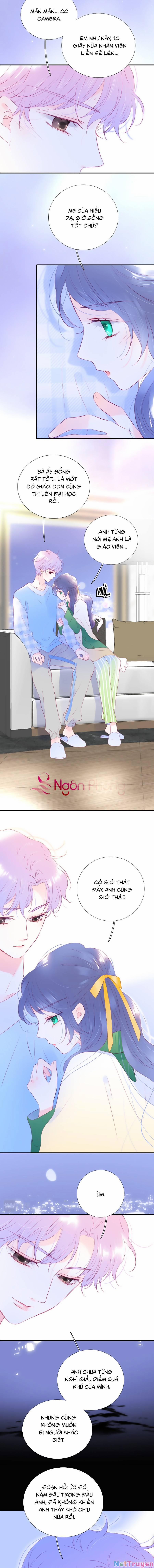 Hoa Bỏ Chạy Với Nhím Rồi 54 trang 1