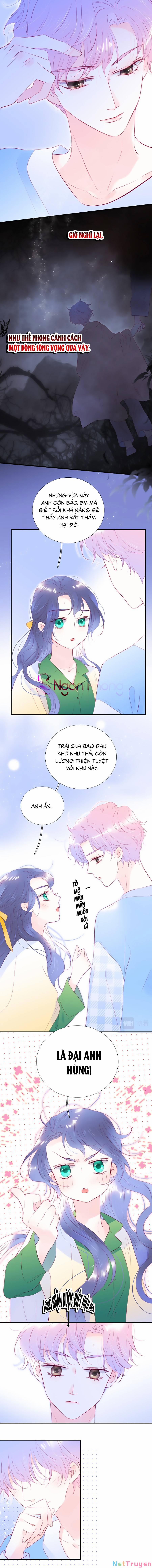 Hoa Bỏ Chạy Với Nhím Rồi 54 trang 2