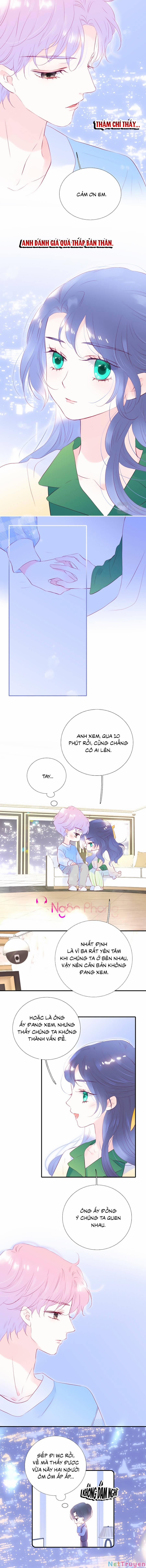 Hoa Bỏ Chạy Với Nhím Rồi 54 trang 5