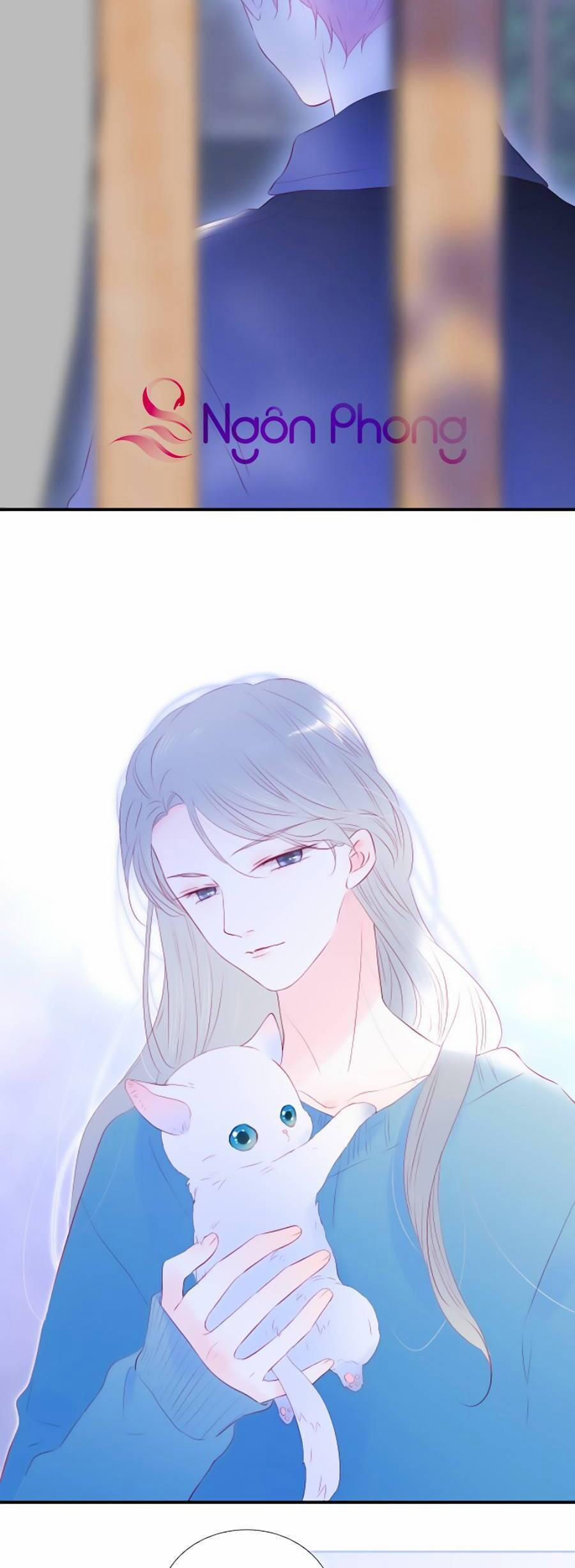 Hoa Bỏ Chạy Với Nhím Rồi 58 trang 19