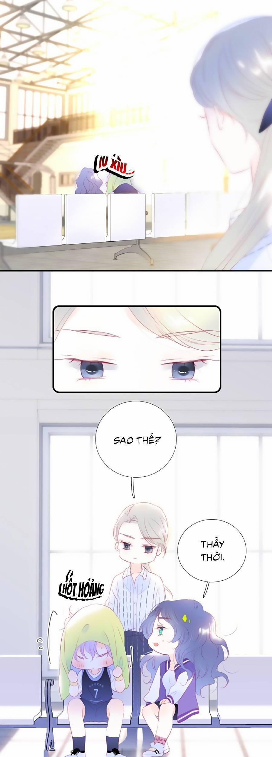 Hoa Bỏ Chạy Với Nhím Rồi 64 trang 27